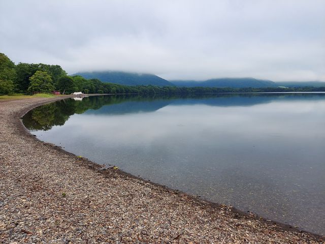 ���ԏꂩ��I�V���C�̊Ԃ̌ΔȂł��B_�a�Ք������R�T���H