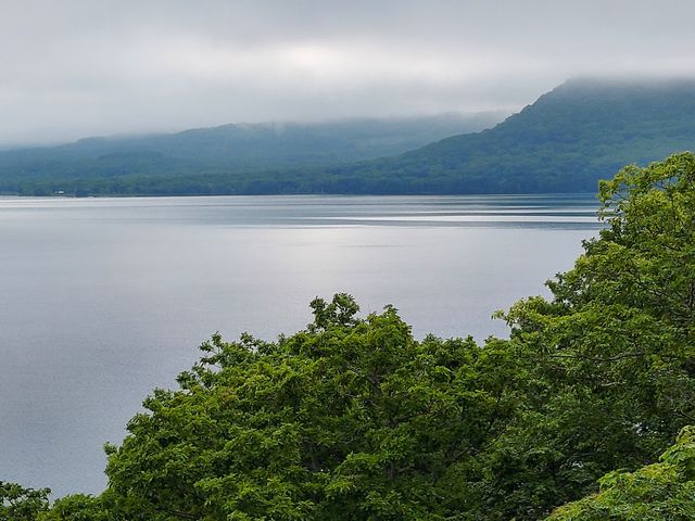 �U���H�́A�ΔȂ��ς�邩���K�i������܂��B_�a�Ք������R�T���H