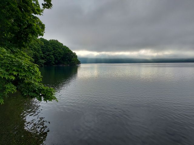 ���Ȃ̌��������݂֕����A�܂�̓��̒���_�a�Ք������R�T���H