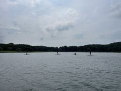 ꂢCrib@inawashiroւ̓eʐ^1