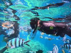 ڂ̃}Nu Gigiւ̓eʐ^1