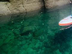 bgdqqx̃XgCvX@TbvcA[ւ̓eʐ^2