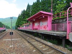 CCꃉC_[̒q}s@R`wւ̓eʐ^3