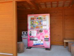 CCꃉC_[̒q}s@R`wւ̓eʐ^8