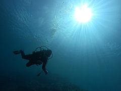 [ނ̃}Nu Gigiւ̓eʐ^1