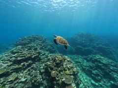 �a����̃T�}�[�p�[�e�B�[�ւ̓��e�ʐ^1