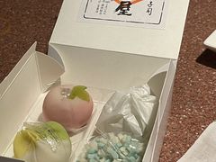 ̋n aَqÂ̌ւ̓eʐ^1