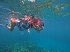 肩񂳂̉AChN[ւ̓eʐ^1