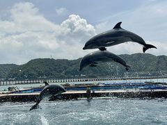 RR̃htBxFCXւ̓eʐ^2