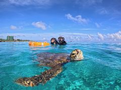 肩񂳂CHURA{Óւ̓eʐ^1