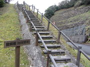 CCꃉC_[̓c̒ߗƐjӗn̓eʐ^4