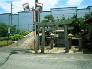 �C�C�ꃉ�C�_�[����̞e�z��񂩂񋴂̓��e�ʐ^4