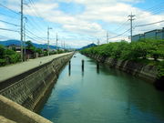 �C�C�ꃉ�C�_�[����̞e�z��񂩂񋴂̓��e�ʐ^5