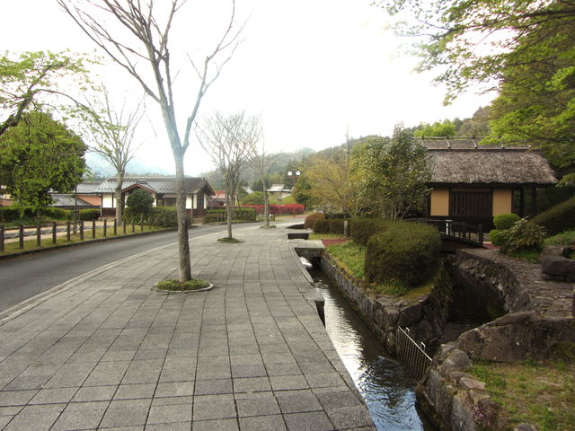 ���ꂢ�ɐ�������Ă��܂�_�����ʂ�