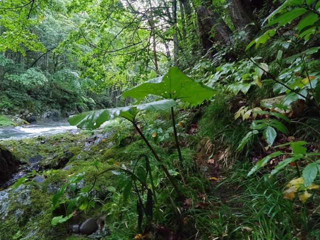 �����ȐA��_Raft&Crew Outdoor Company.(���t�g�A���h�N���[)