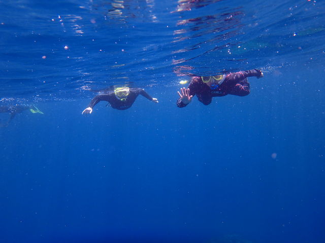 KCh񂪎Bʐ^B_sAeB@_CrOT[rX