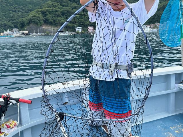 �d�������ł���_�˓c�` ������