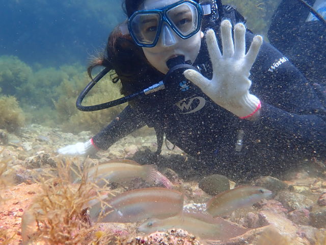 �C�̒��͊y�����ł��I_�t���[�E�F�C