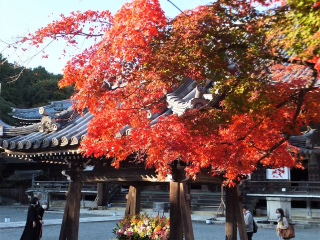 �������F�{���O�E�萅��̍g�t_�g�t���