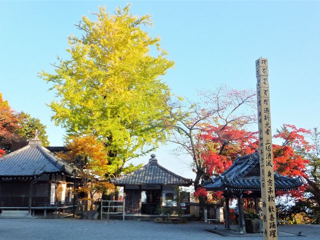 �������F�{���O�̑���_�g�t���