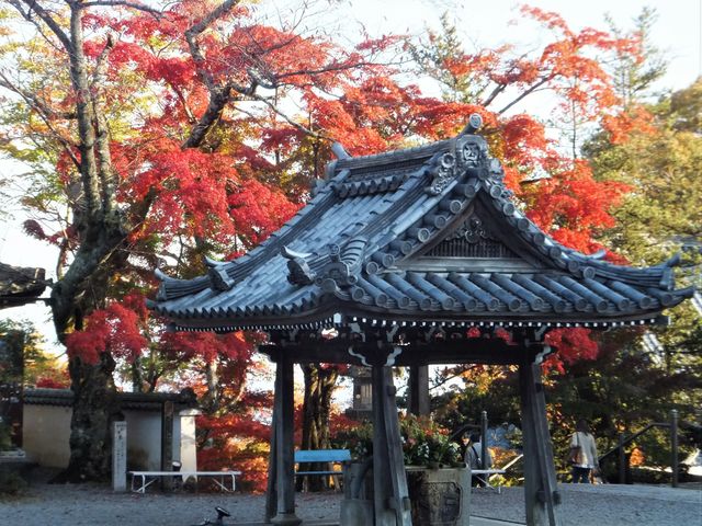 �������F�{���O�E�萅��̍g�t_�g�t���