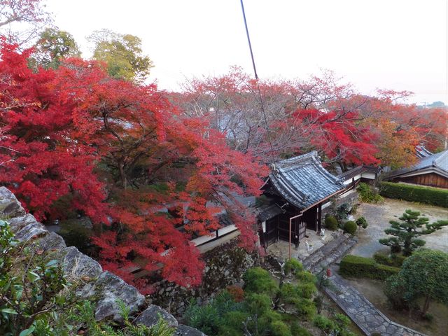 �������F�@�c��t�a�O����T�іV�������낷�B_�g�t���