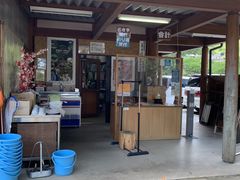 �V���p�[�N�����h�̎ʐ^1