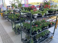 񂳂̓̉w hւ̓eʐ^2