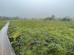 炳炳񂲂̏yւ̓eʐ^1