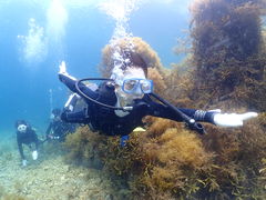 ݂Ƃ̃t[EFCւ̓eʐ^1