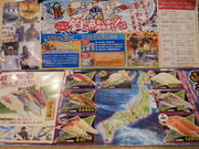 񂳂̉̉] ۂ̓eʐ^24