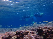 股̃sAeB@_CrOT[rX̓eʐ^1