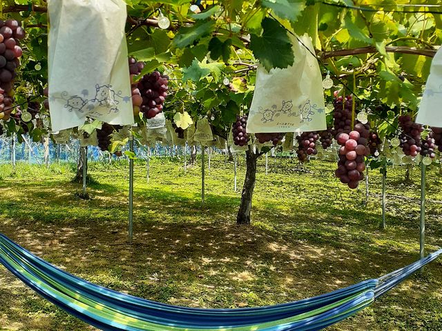 �n�����b�N�łɐQ�]��ŕ����̖��H�@�B�e�X�|�b�g������܂��B_�M�����ʎ���