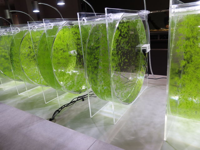 Cۂ炵ł_AOAO SAPPORO