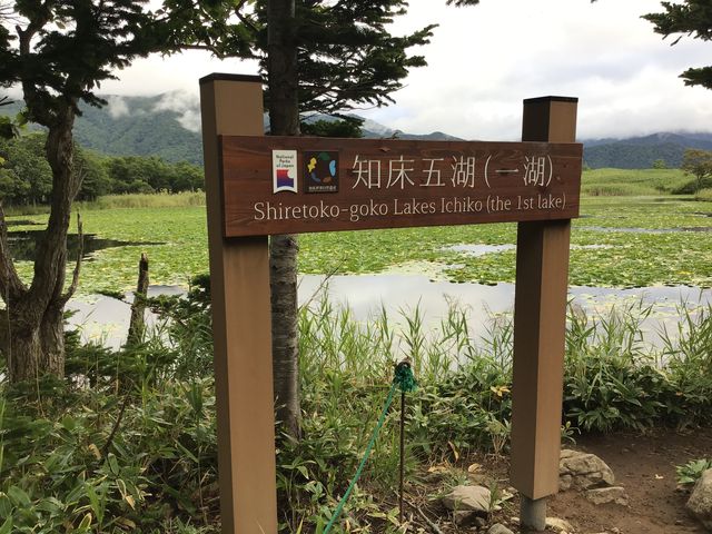 �V��ɂ��������Ă܂����B_�I�z�[�c�N���R��