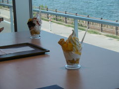 񂳂̓̉wuJ-AMAHARASHIvւ̓eʐ^2