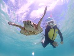 r[r̋{Ó} GB QUESTւ̓eʐ^1