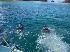 noriko320̃V[}bNX_CrONuւ̓eʐ^1