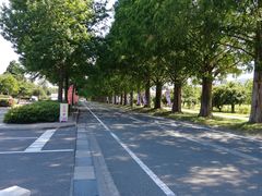 ܂̃^ZRCA؂ւ̓eʐ^1