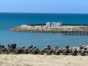 񂳂̋VWLb` PAERX̓eʐ^1