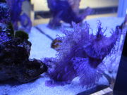 yosshyAOAO SAPPORO̓eʐ^7