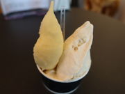 yosshyCOCO GELATO SAPPORO̓eʐ^5