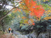 CCꃉC_[̒勬̓eʐ^7