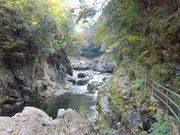 CCꃉC_[̒勬̓eʐ^8