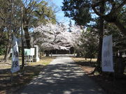 �C�C�ꃉ�C�_�[����̋���Ђ̓��e�ʐ^2