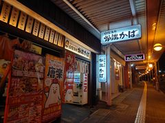 ̘F[΁@lcXւ̓eʐ^1