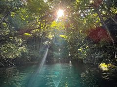 ꂨ̃BgJ̓]ւ̓eʐ^1