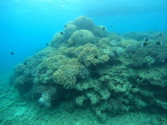 [̃}T[rXނʁ[ւ̓eʐ^1