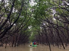 ACCÔ΂鎩Rmւ̓eʐ^1