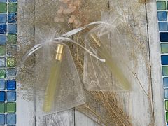 �݂ق���̃A���}�Ǝ��肹�����񋳎�RoomSealiah�ւ̓��e�ʐ^1